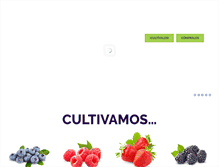 Tablet Screenshot of campoberry.com